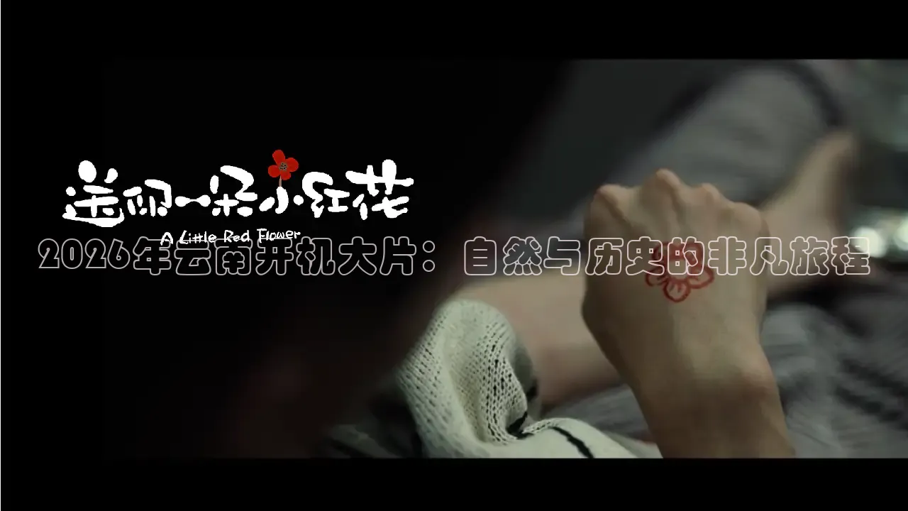 秋霞电影网站